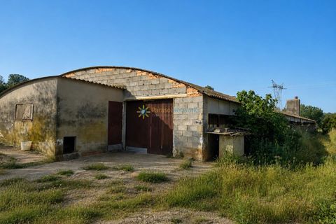 Farm i Beniganim, Valencia, Beniganim - € 67.000 | Ref: PNPT301 - foto 1